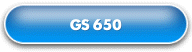 GS 650